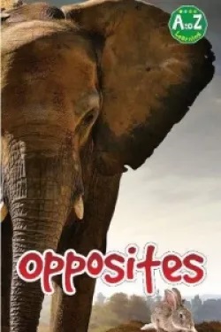 A To Z  Opposites