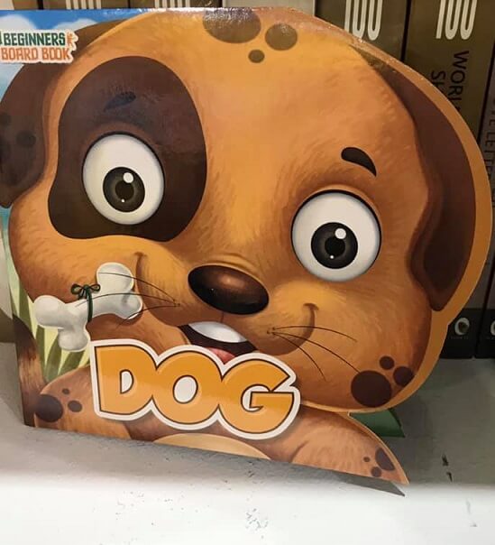 beginners board book - dog