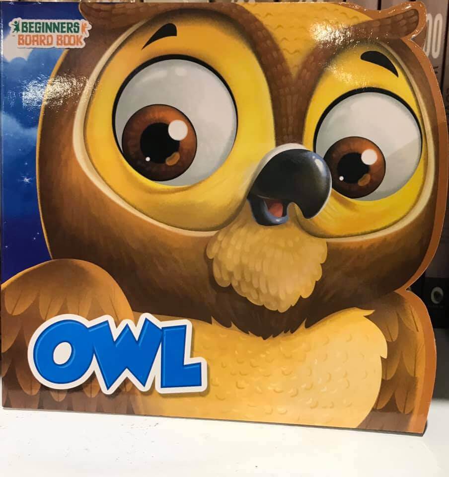 beginners board book - owl