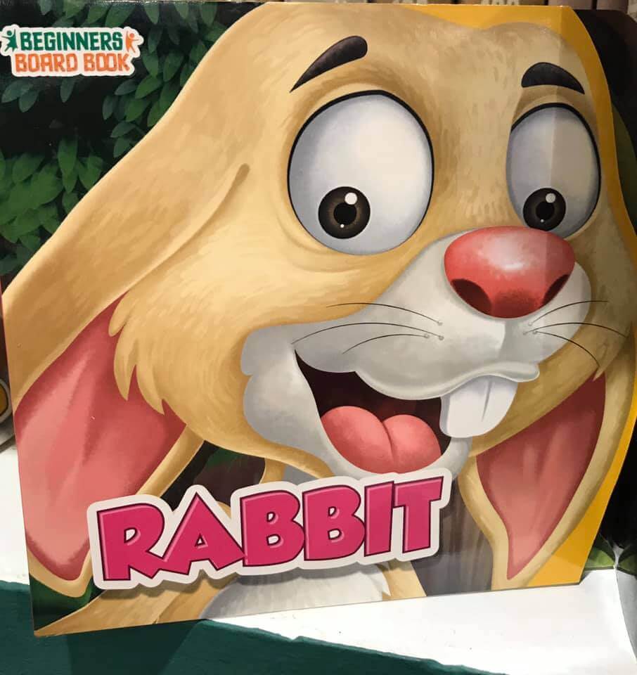 beginners board book - rabbit-nile publishing-|بيت الكتب