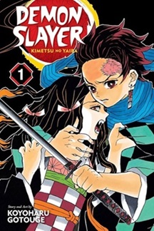 Demon Slayer Vol1