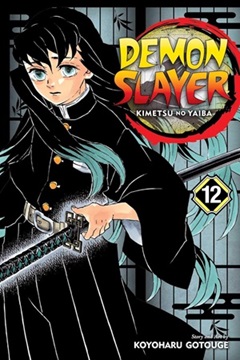 Demon Slayer Vol12