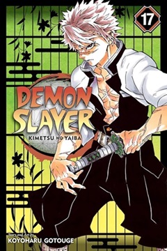 Demon Slayer Vol17