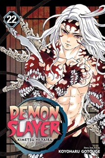 Demon Slayer Vol22