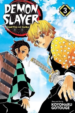 Demon Slayer Vol3