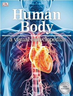 Human Body: A Visual Encyclopedia