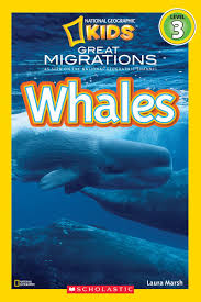 national kids - whales