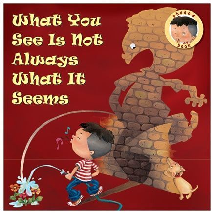 shadow book - what you see is not always what it seems