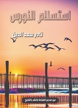 استسلام النورس