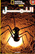 اقرا مع ناشيونال جيوجرافيك - النمل