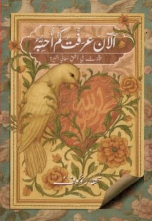 الآن عرفت كم أحبه : تأملات في أعمق معاني السيرة