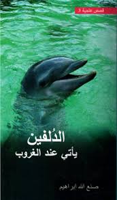 الدلفين ياتي عند الغروب