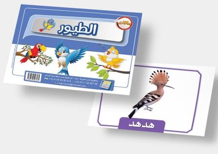 الطيور (فلاش كارد)