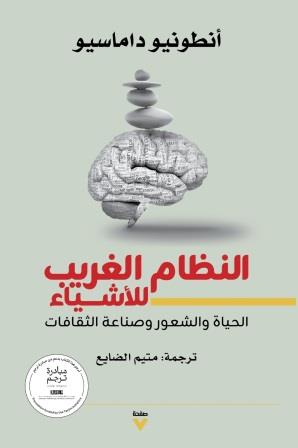 النظام الغريب للأشياء