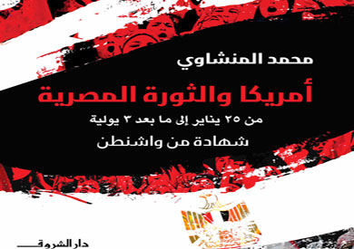 امريكا والثورة المصرية
