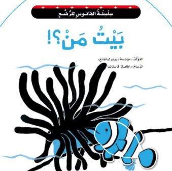 بيت من