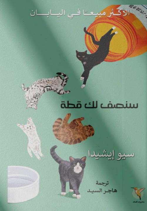 سنصف لك القطة