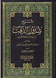 شرح شذور الذهب في معرفة كلام العرب
