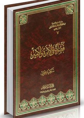 فصول في الإمرة والأمير(مجلد)