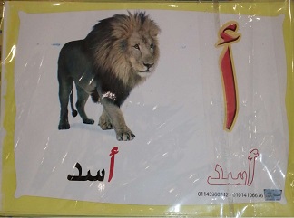 فلاش كيس
