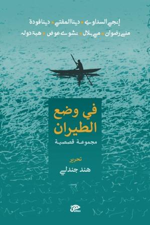 في وضع الطيران