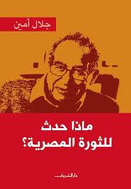 ماذا حدث للثورة المصرية ؟