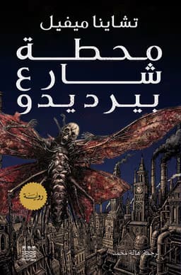 محطة شارع بيرديدو
