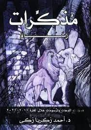 مذكرات رسام
