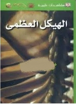 مشاهدات علمية - الهيكل العظمى