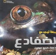 وجها لوجه - الضفادع